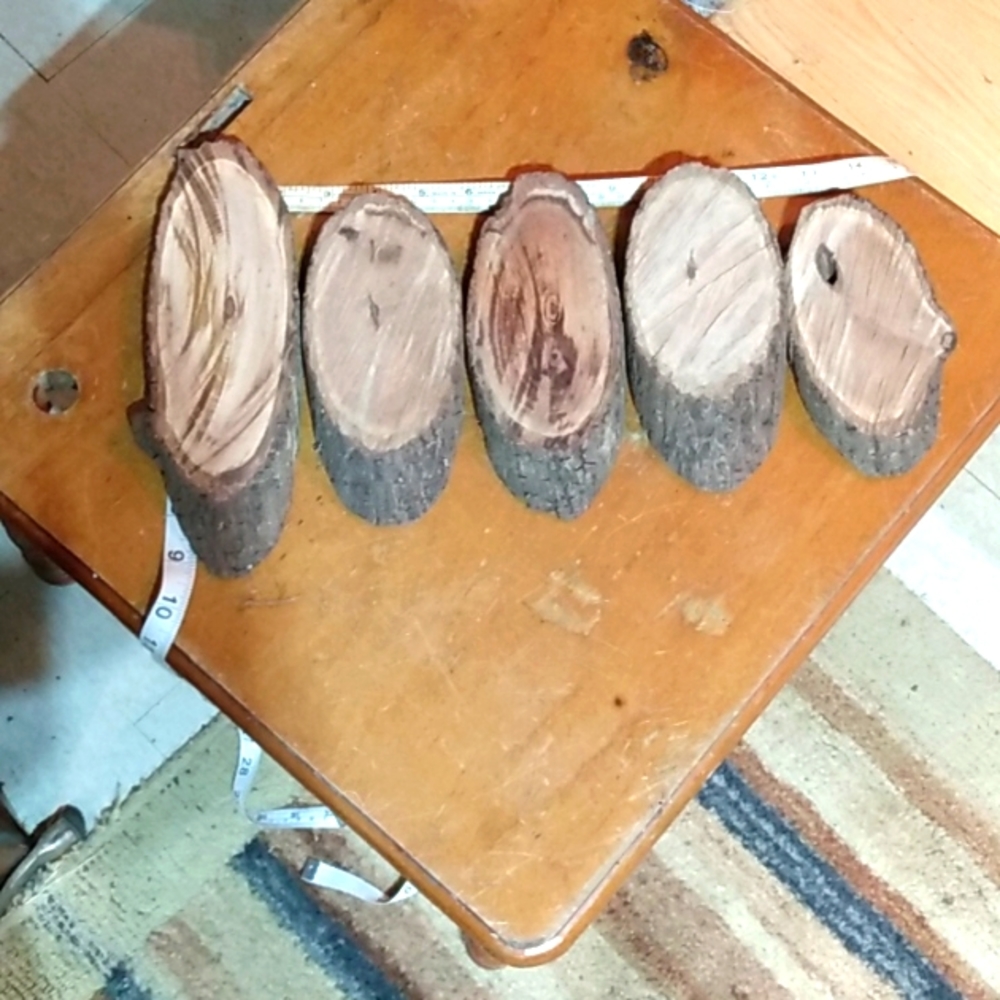 5 discs wood pieces for crafts